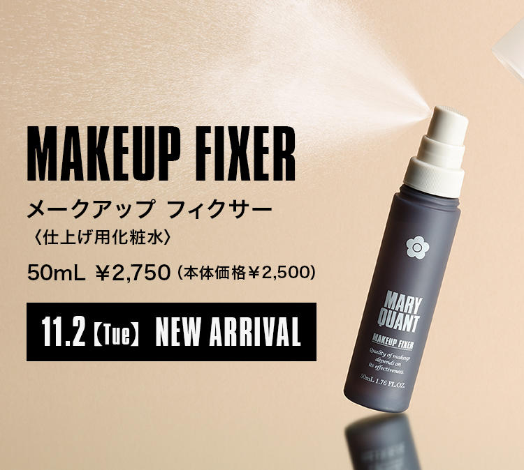 MAKEUP FIXER